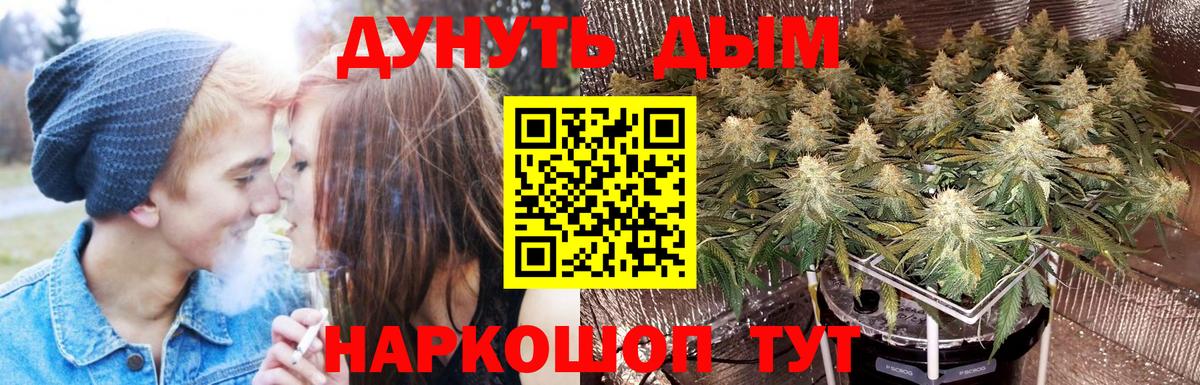 Лесозаводск  Шишки марихуана индика  Канабис OG Kush  Каннабис план  Вход с VPN 